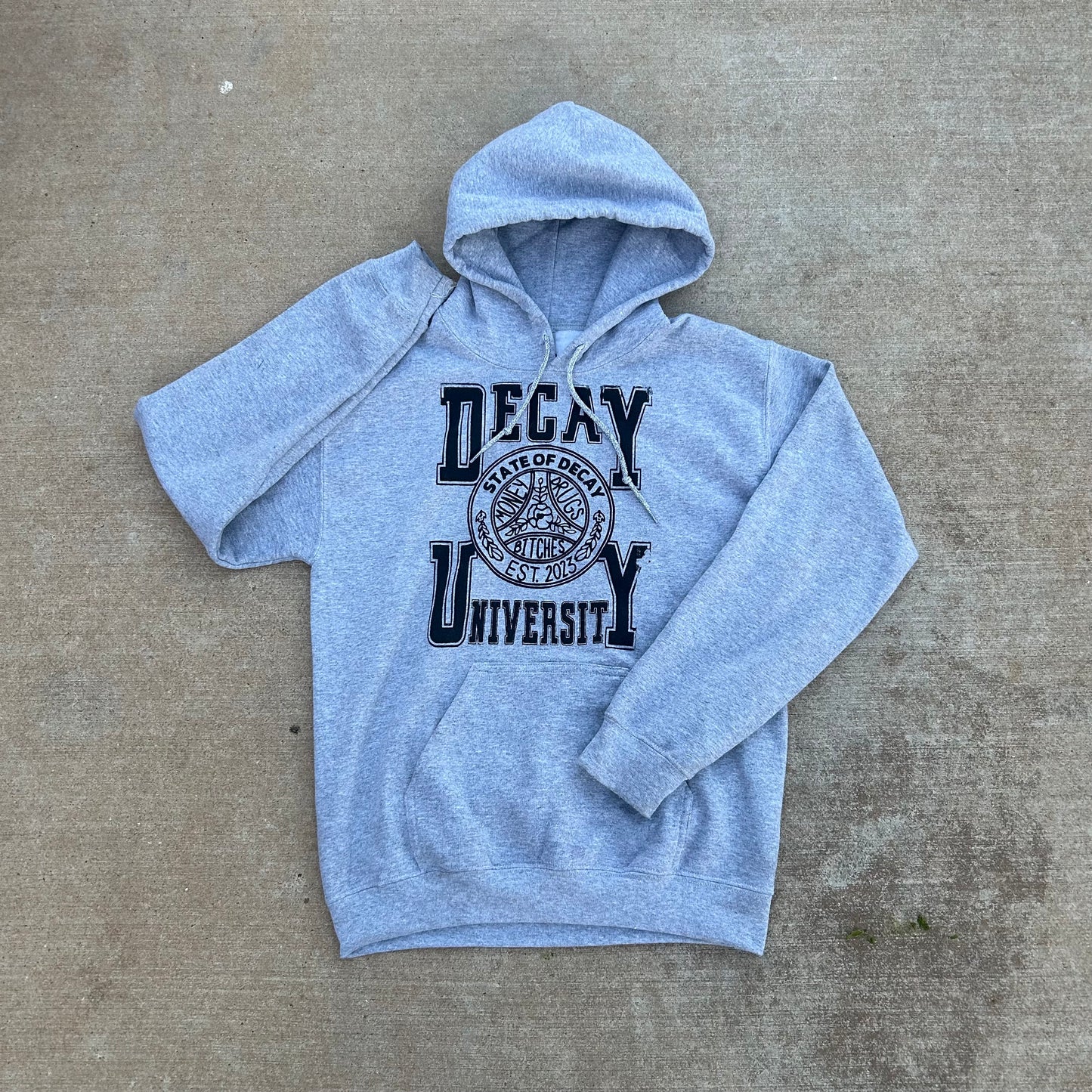 decay university hoodie (grey)