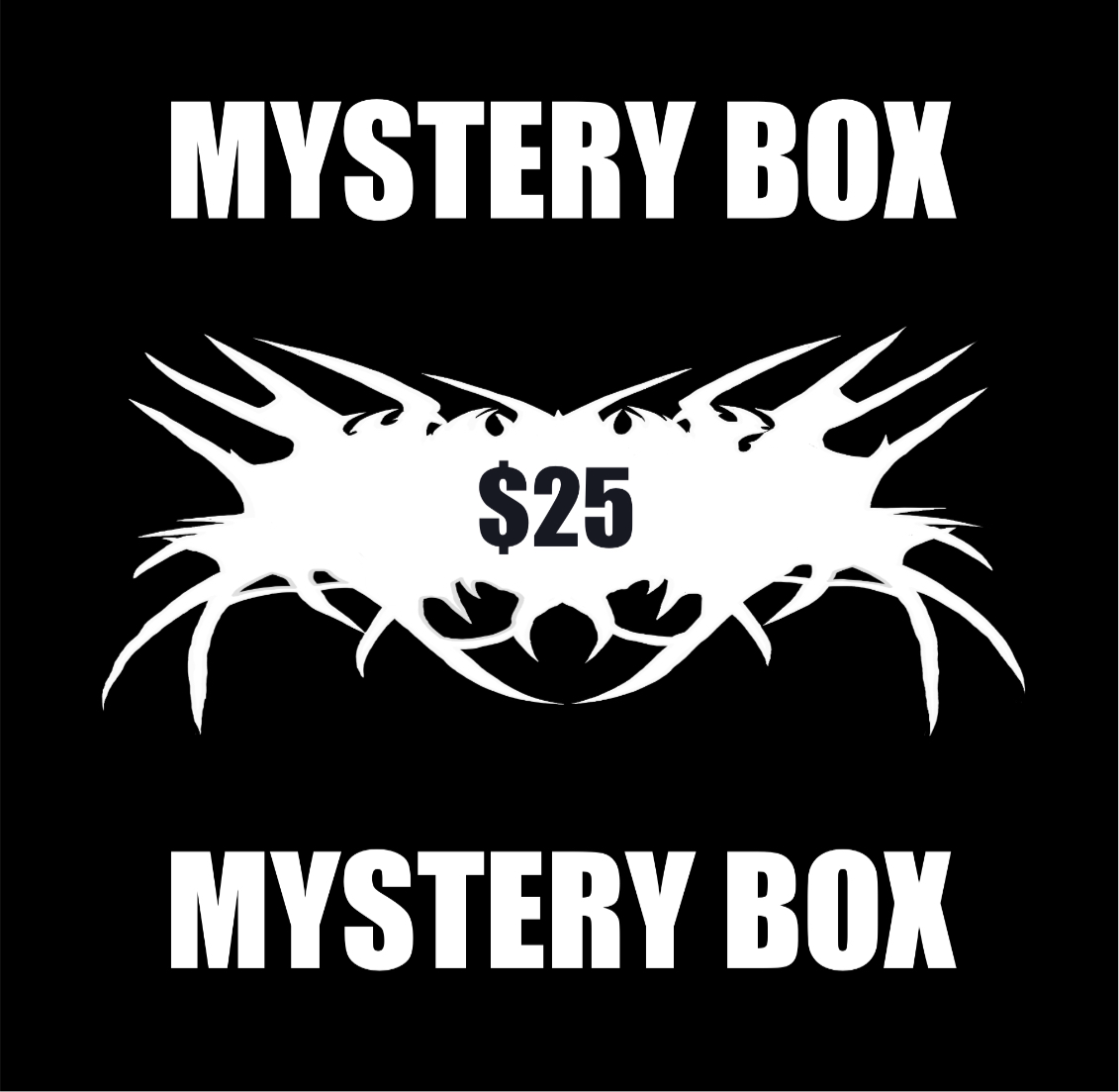 $25 mystery box