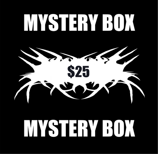 $25 mystery box