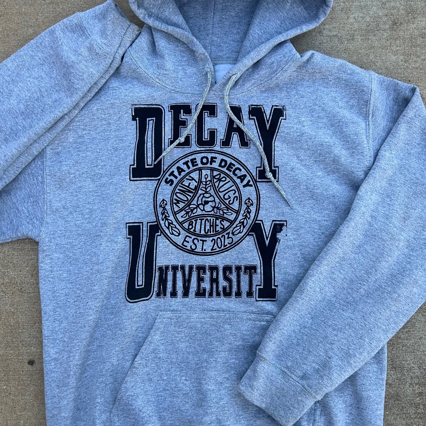 decay university hoodie (grey)